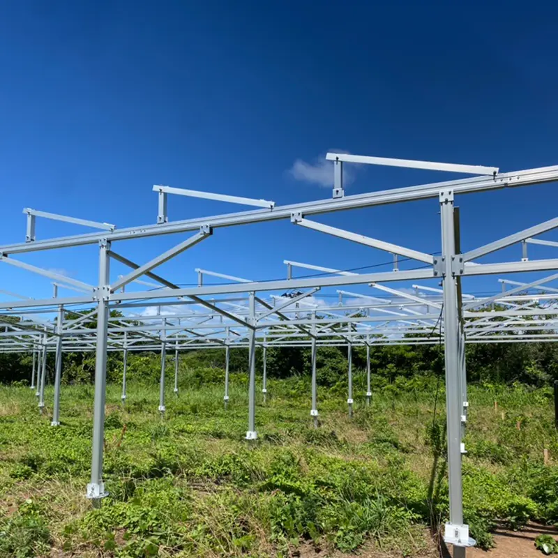 Fermes solaires : futures stars de l’énergie verte