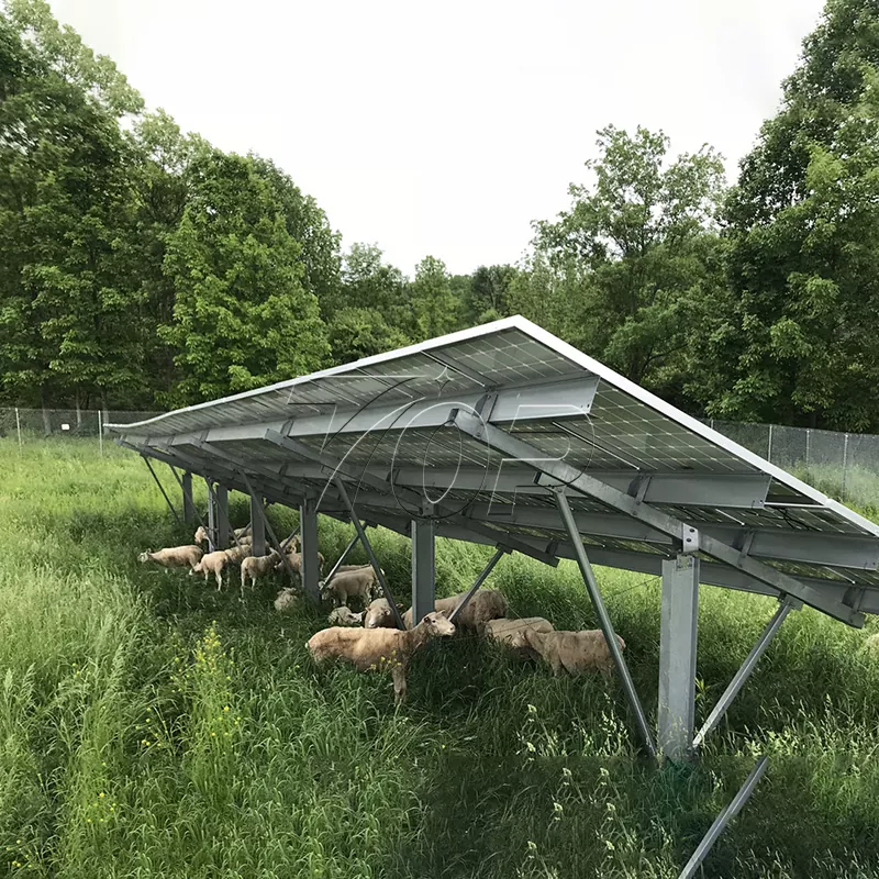 Panneaux solaires pour ferme : aider la durabilité de l’énergie agricole à un niveau supérieur !